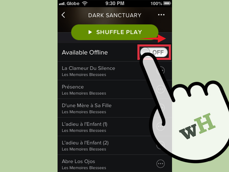 Can you use djay and spotify offline download